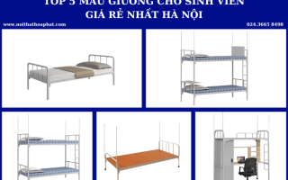 Top 5 mẫu giường cho sinh viên giá rẻ tại Hà Nội