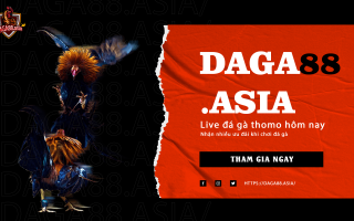 Daga88 – Trang web trực tiếp đá gà uy tín hàng đầu Việt Nam