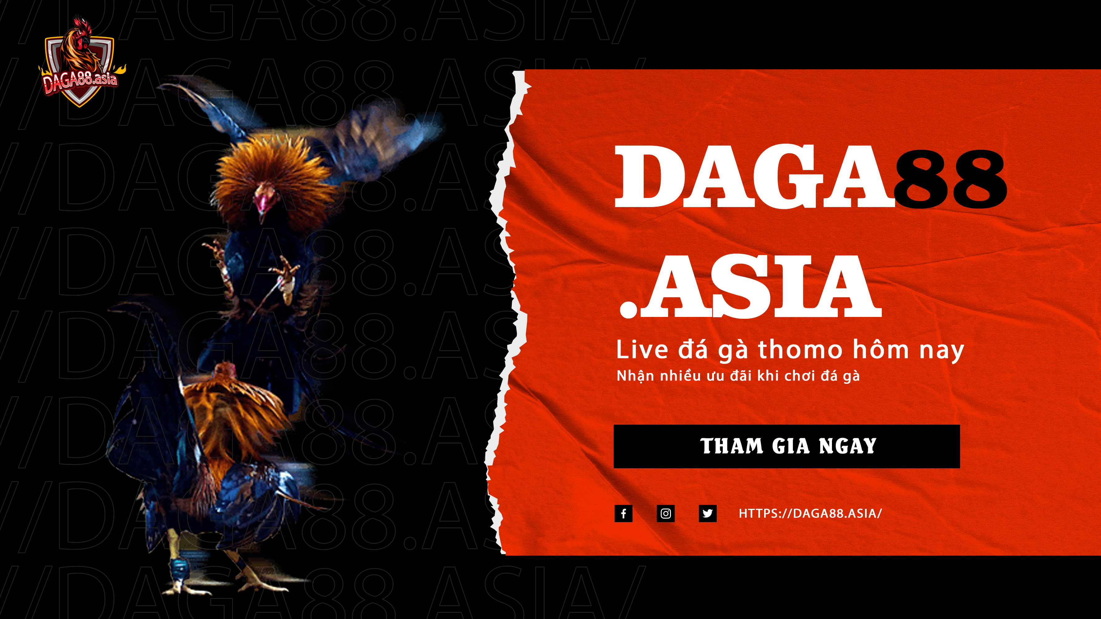 Daga88 – Trang web trực tiếp đá gà uy tín hàng đầu Việt Nam
